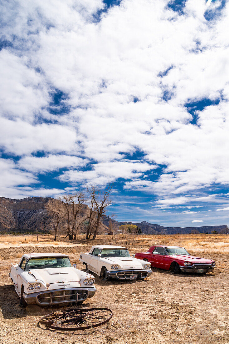 Drei verlassene Autos vor einem Pfandhaus in Cortez, Colorado.