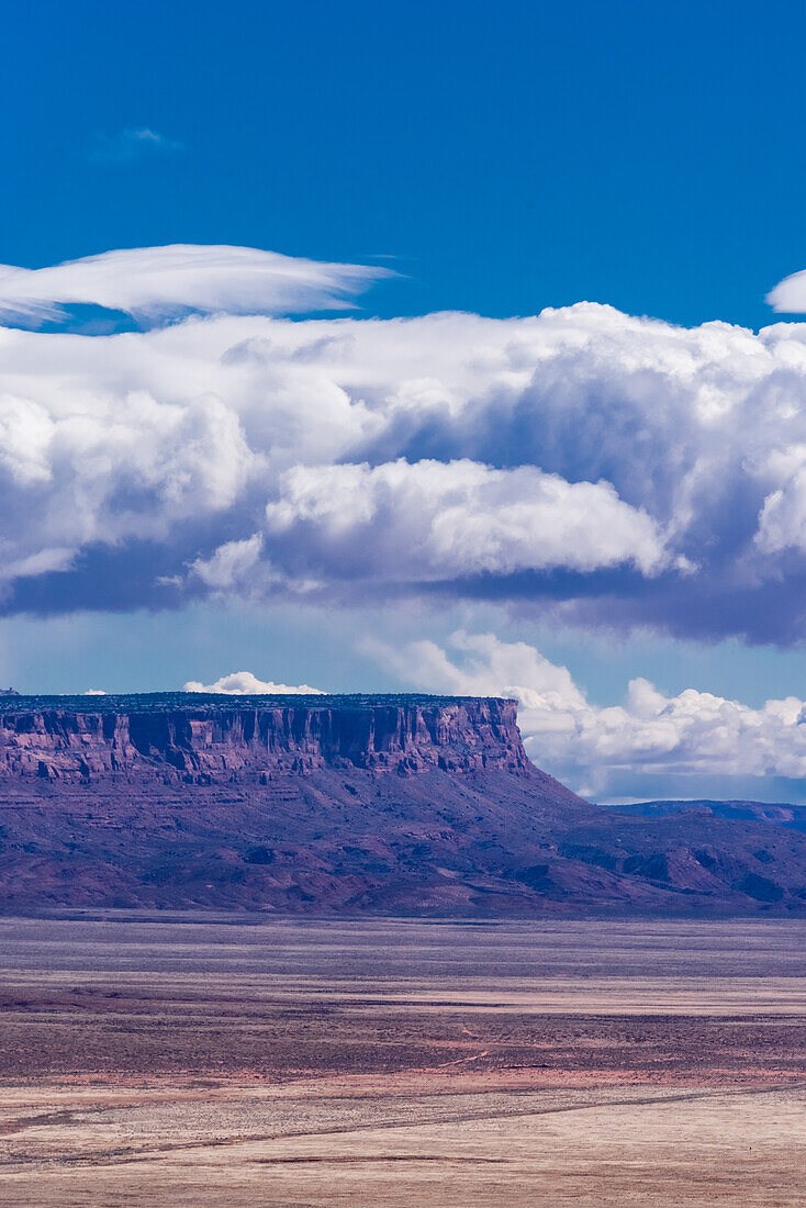 The Vermilion Cliffs National Monument seen on the horizon of the Arizona desert.