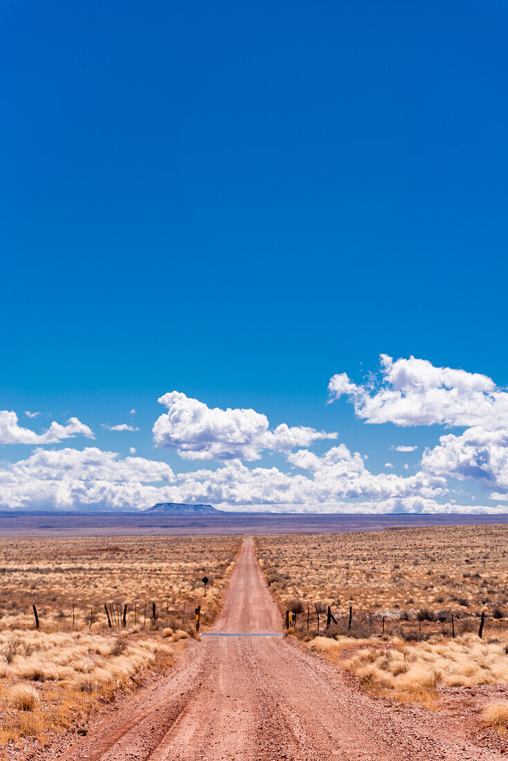 Eine Straße, die durch die Wüste von Arizona führt