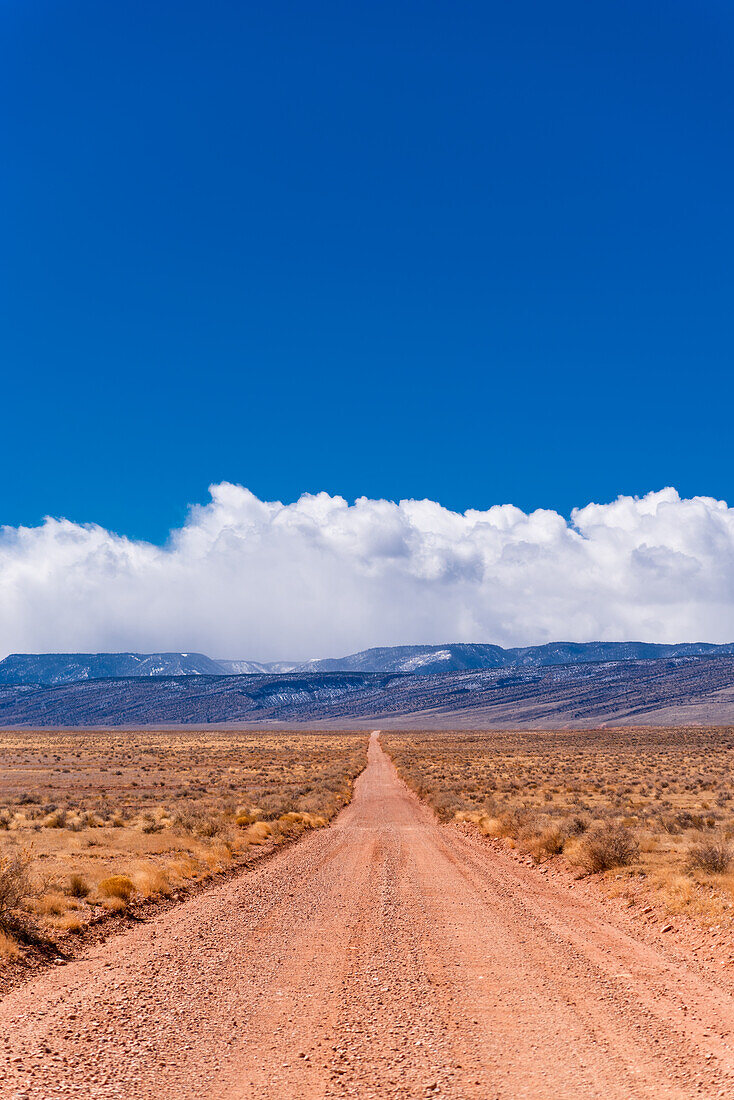 A road leading through the Arizona desert