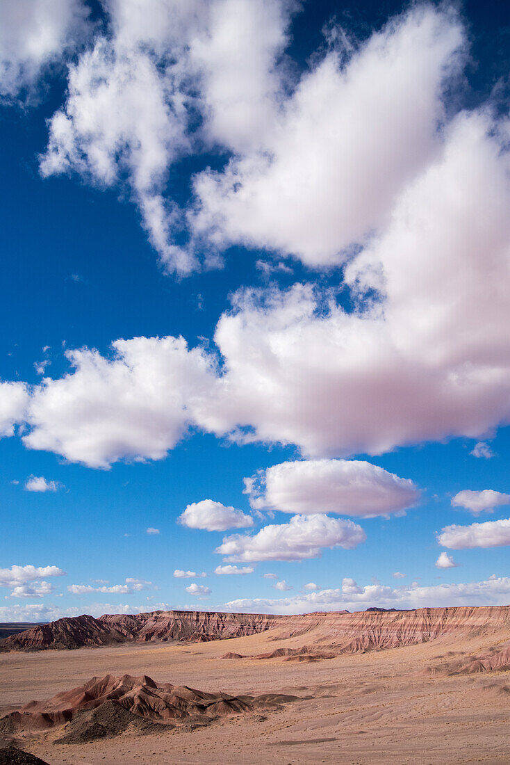 Vermillion Cliffs National Monument, Landschaft in der Wüste von Arizona, USA