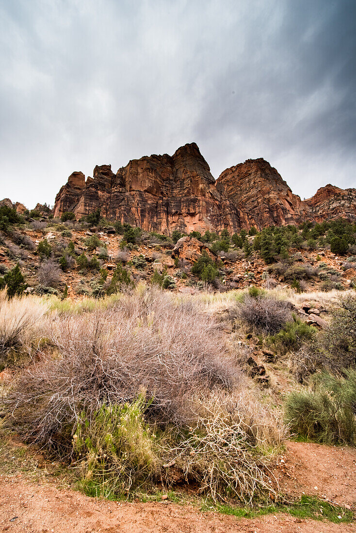 The landscape of the Zion National Park in Utah, USA.