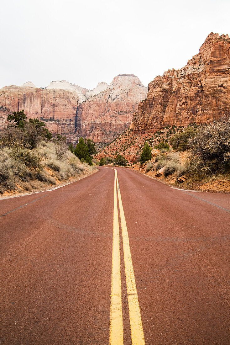 A road crossing the landscape of the Zion National Park in Utah, USA.