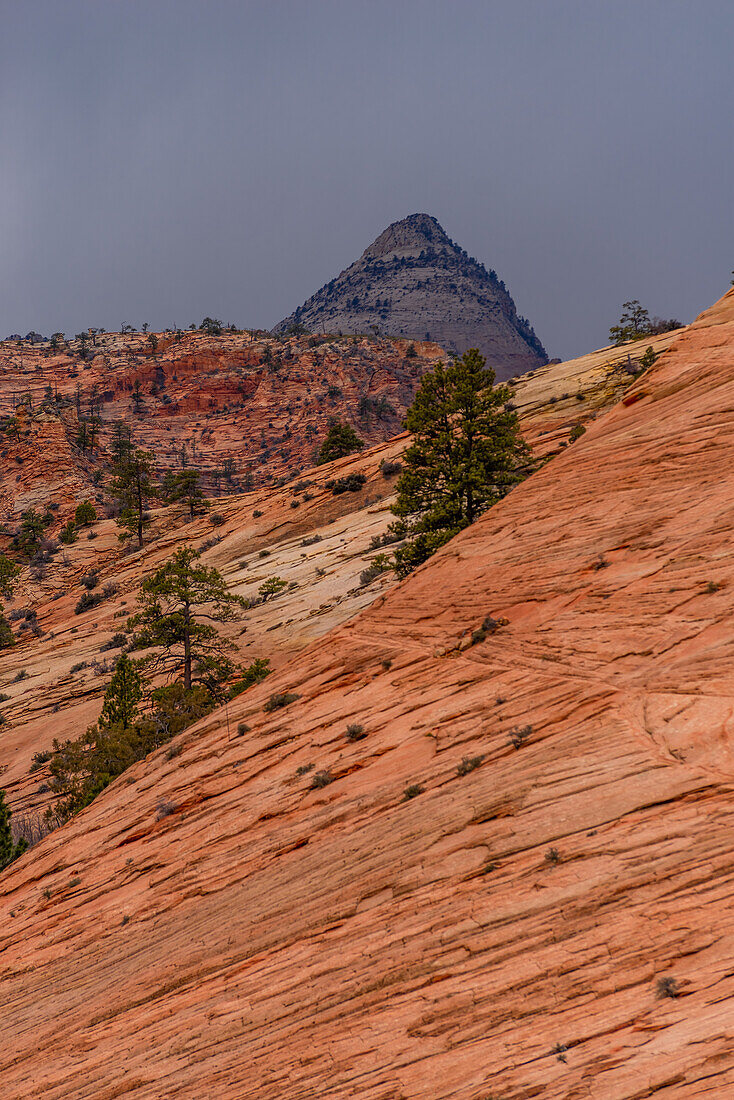 Erodierte Felsformationen in der Landschaft des Zion-Nationalpark in Utah, USA.