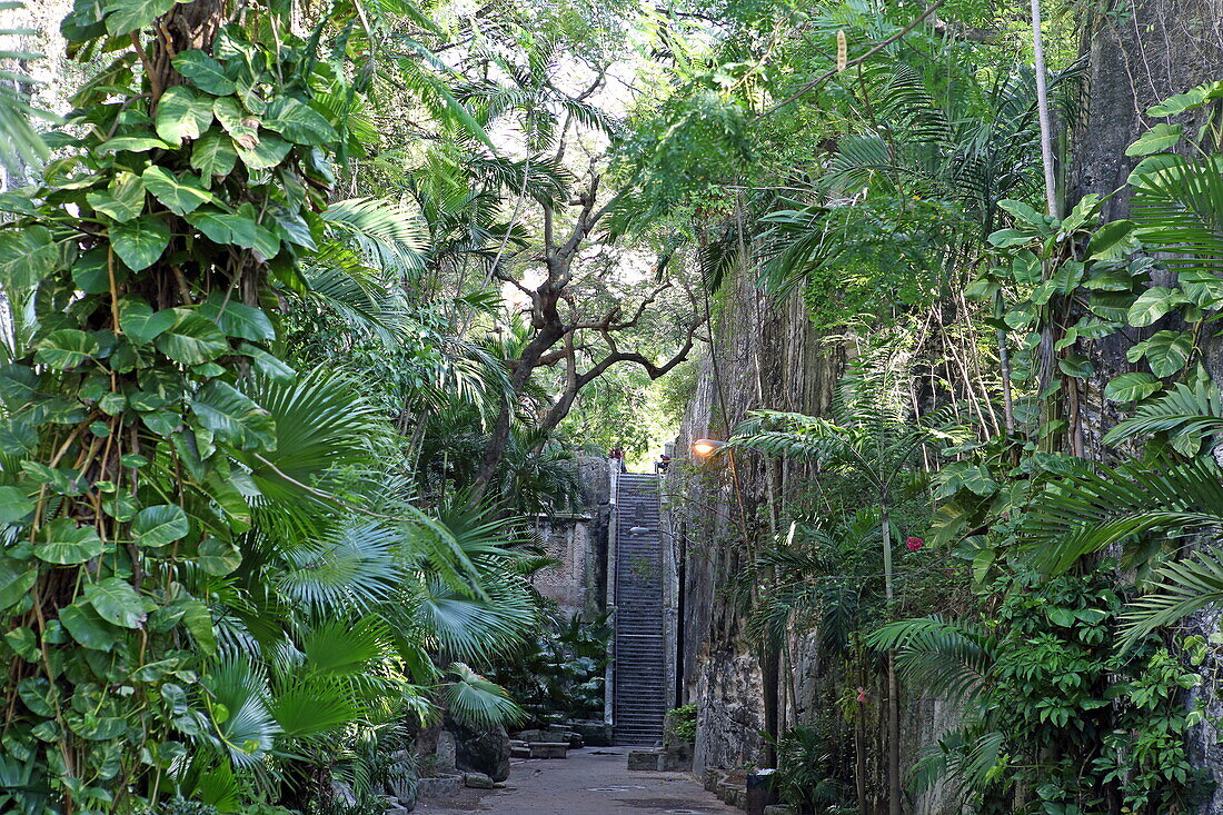 Königstreppe Queen's Staircase, Nassau, Insel New Providence, The Bahamas