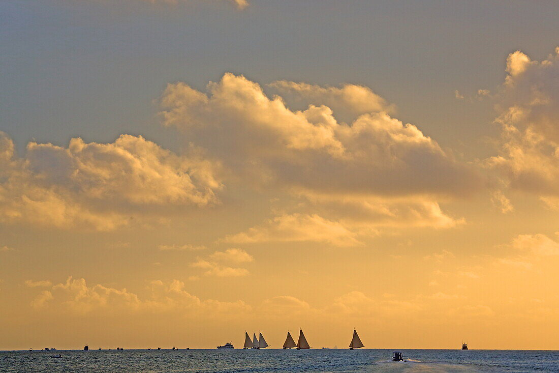 Segelregatta 'Long Island Sailing Regatta' im Abendlicht,  Insel Long Island, The Bahamas