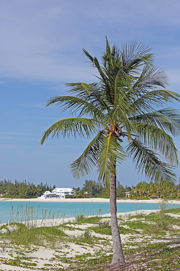 Am Strand von Brigantine Beach, Treasure Cay, Great Abaco, Abaco Islands, Bahamas