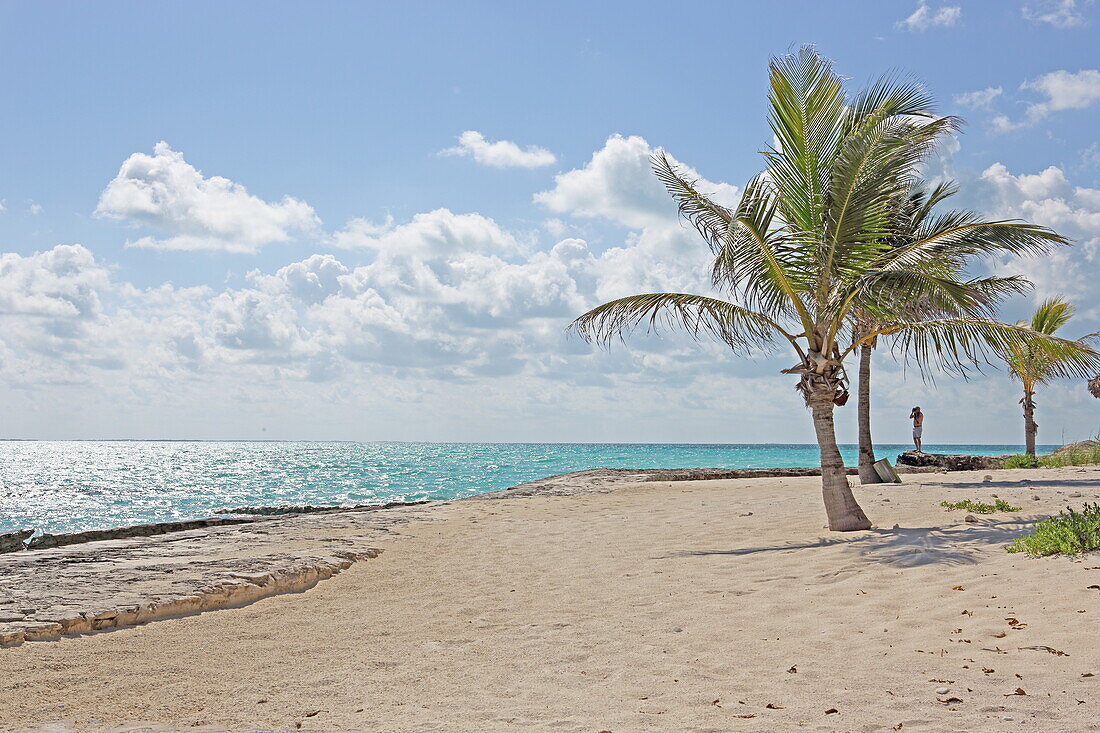 Palmenstrand Sandpiper Beach, Treasure Cay, Great Abaco, Abaco Islands, Bahamas