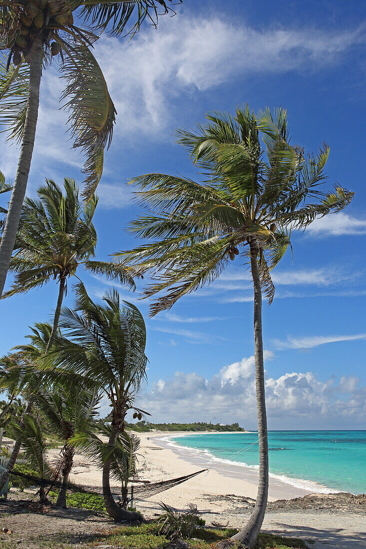 Palmenstrand bei Hope Town, Elbow Cay, Abaco Islands, Bahamas