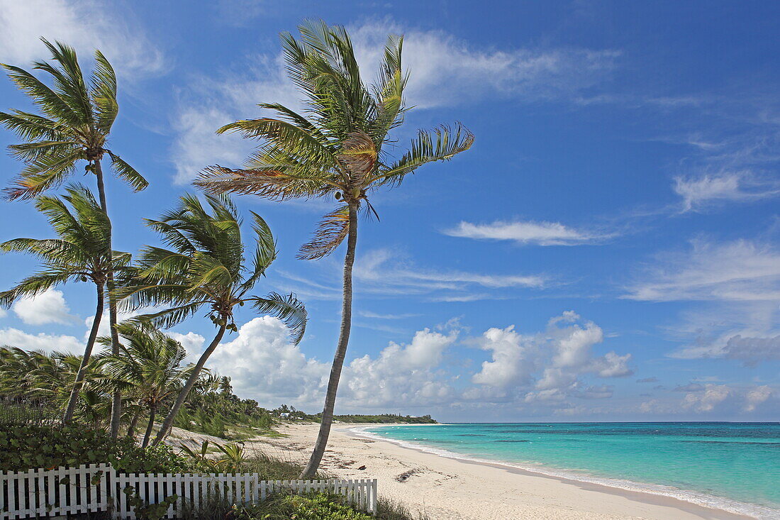 Palmenstrand bei Hope Town, Elbow Cay, Abaco Islands, Bahamas