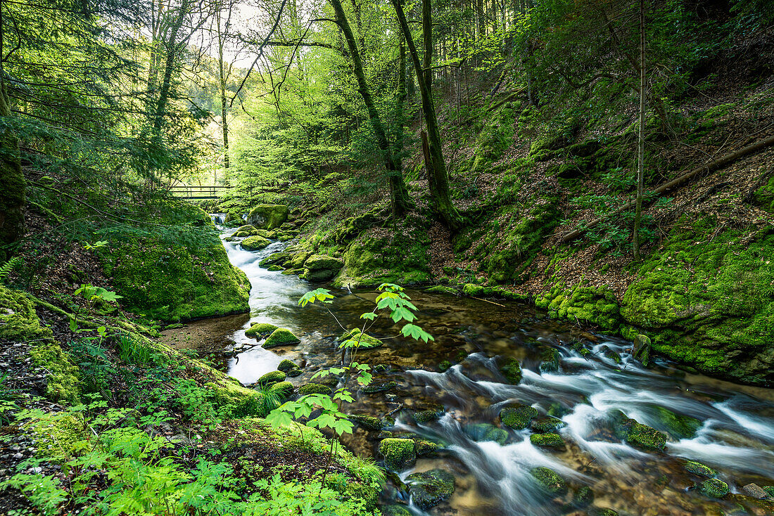 Blick auf das Flussbett des Grobbachs auf dem Weg zum Geroldsauer Wasserfall, Schwarzwald, Baden-Baden, Baden-Württemberg, Deutschland