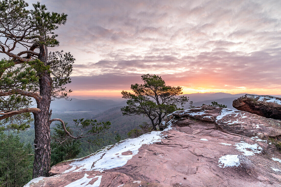 Sunrise at the Schlüsselfels overlooking the eastern Wasgau, Busenberg, Dahner Felsenland, Rhineland-Palatinate, Germany