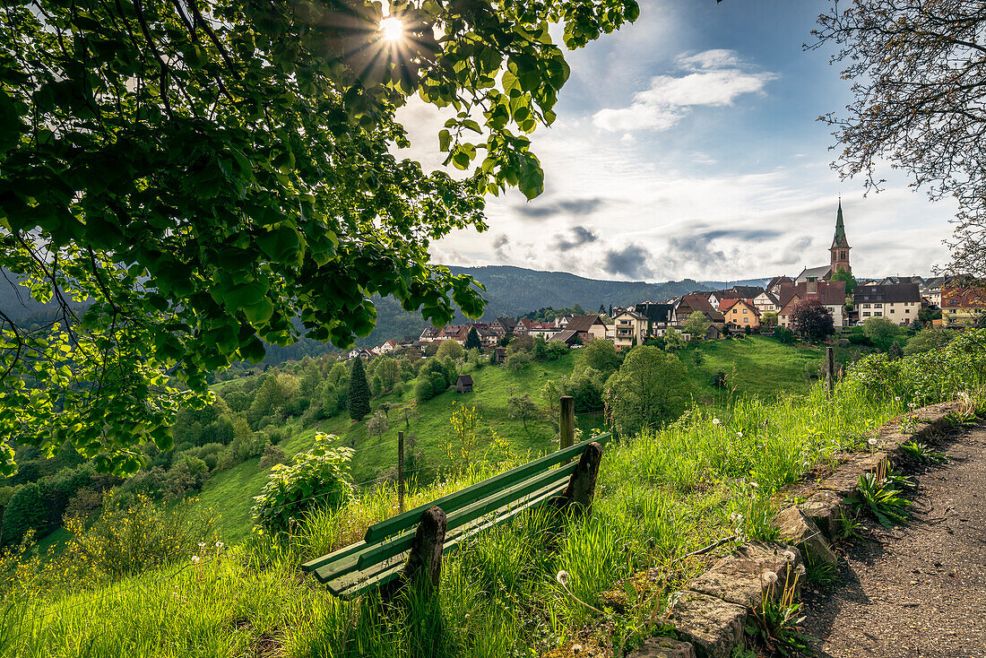 Bench on a slope, Bermersbach in the background in backlight, Forbach, Black Forest, Baden-Württemberg, Germany