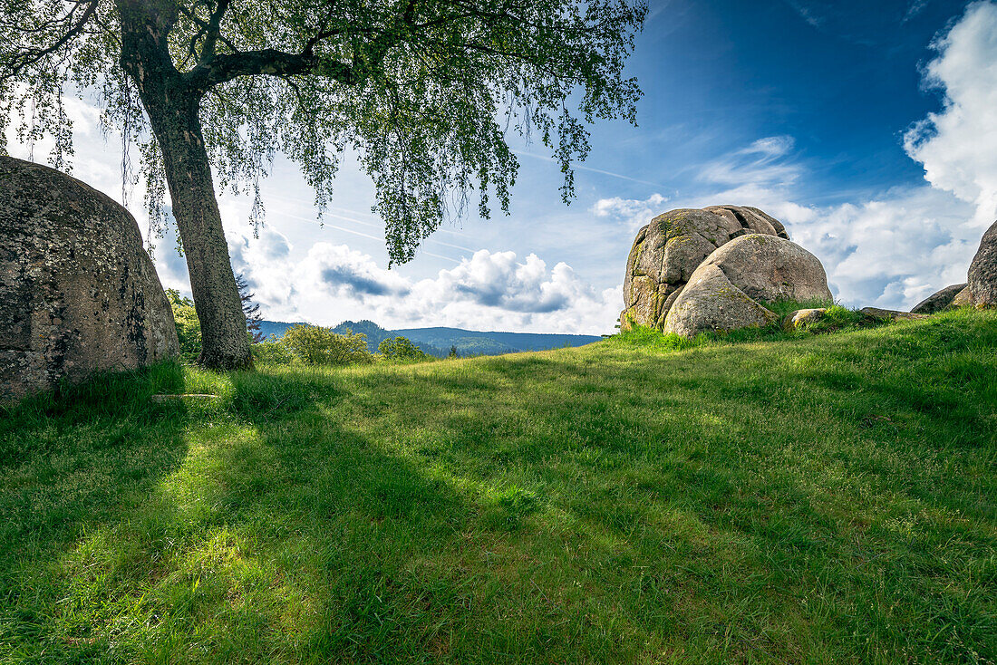 Light and shadow play at the Giersteinen in Bermersbach, Forbach, Black Forest, Baden-Württemberg, Germany