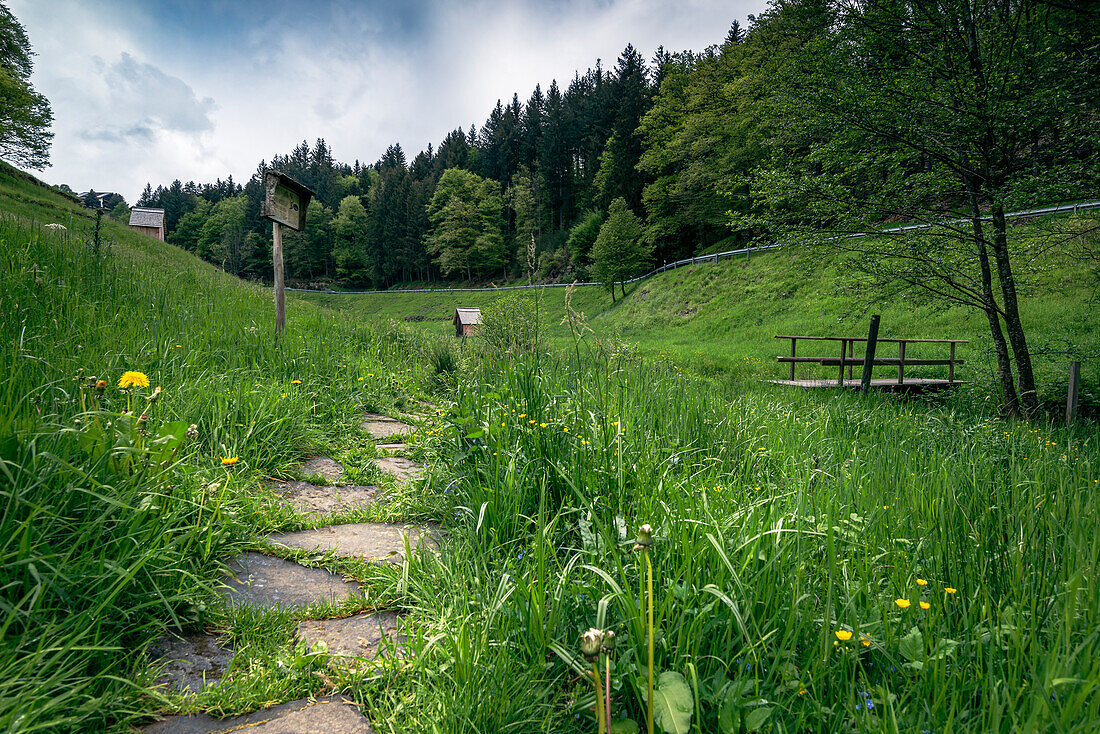 Stone slabs, information board and bridge on the goat trail from Forbach to Bermersbach, Black Forest, Baden-Württemberg, Germany