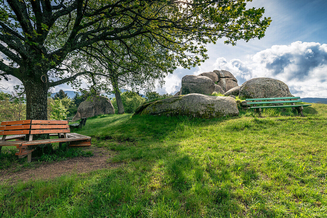 Sitzbänke an einem Baum und vor den Felsen, Giersteine Bermersbach, Forbach, Schwarzwald, Baden-Württemberg, Deutschland