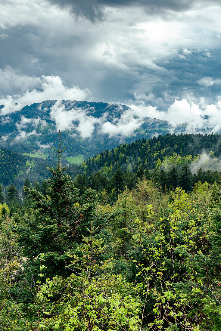 Storm clouds are moving over the Black Forest, Mummelsee, Hornisgrinde, Black Forest, Baden-Württemberg, Germany