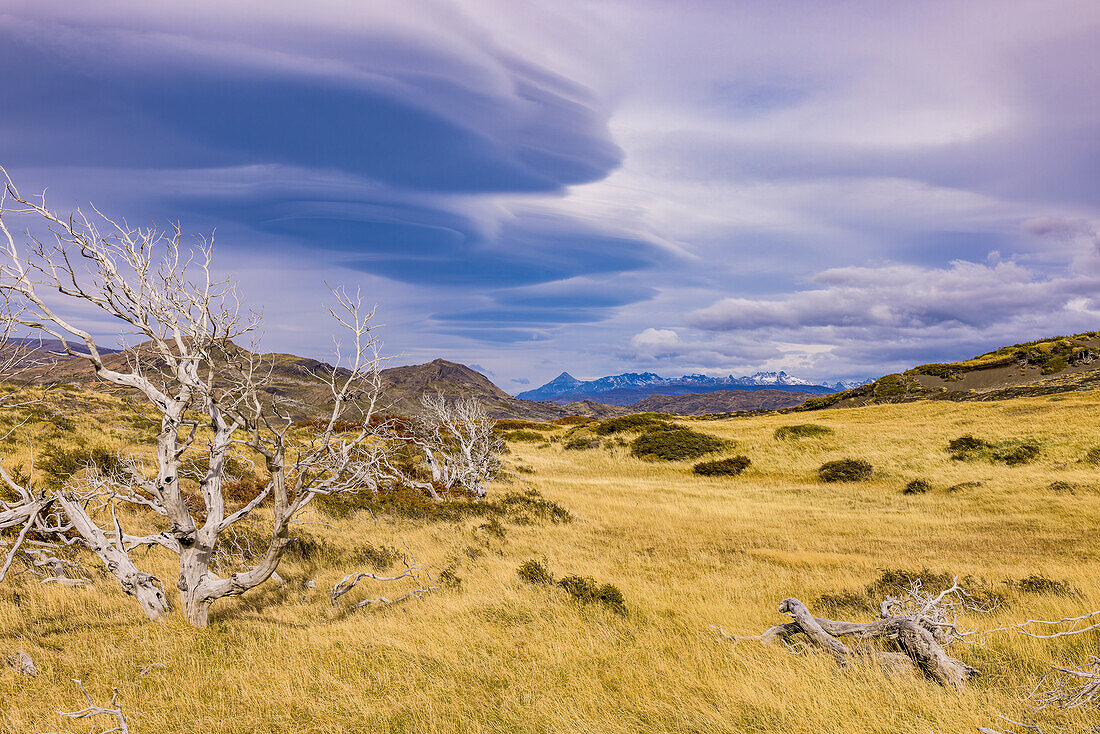 Spectacular layered lenticularis clouds over the steppe-like landscape in Torres del Paine National Park, Chile, Patagonia, South America