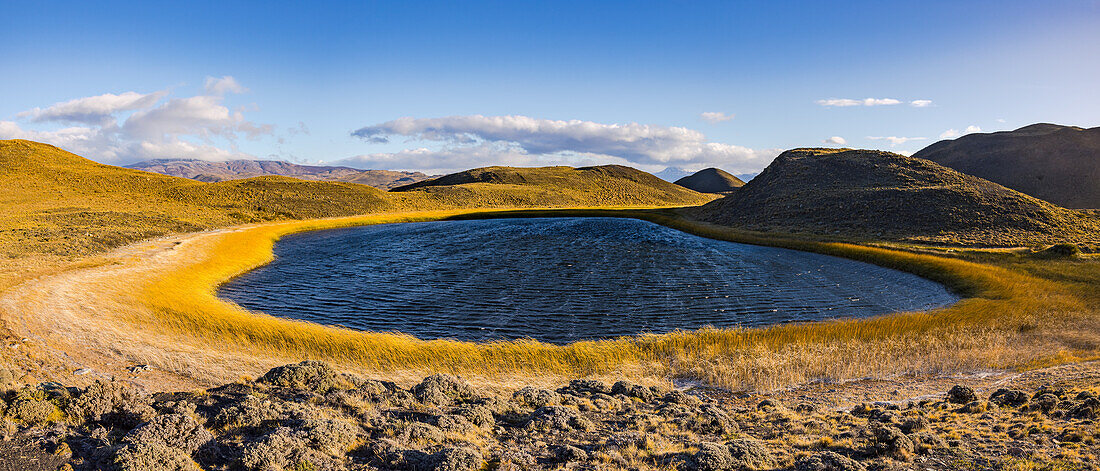 Kleine blaue Lagune mit atemberaubend gold-gelbem Gras im Torres del Paine Nationalpark, Chile, Patagonien