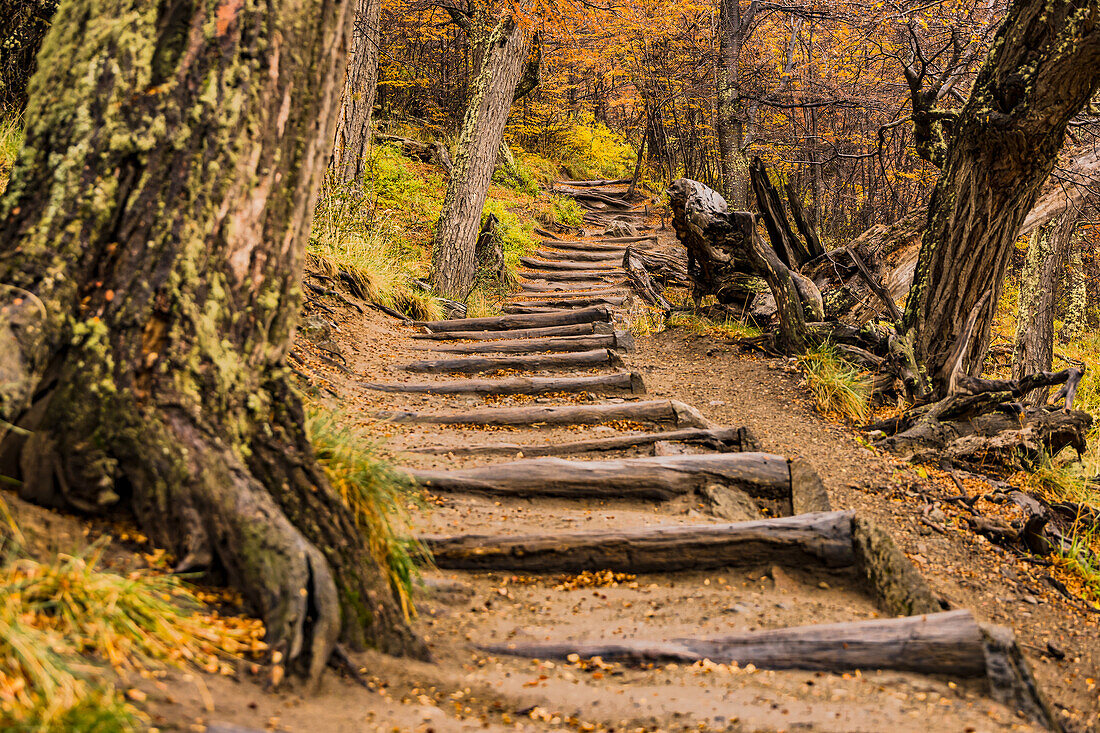 Malerischer Wanderweg mit feuchten Holzstufen in idyllischer Berglandschaft mit herbstlichen Farben in der Nähe von El Chalten, Argentinien, Patagonien, Südamerika