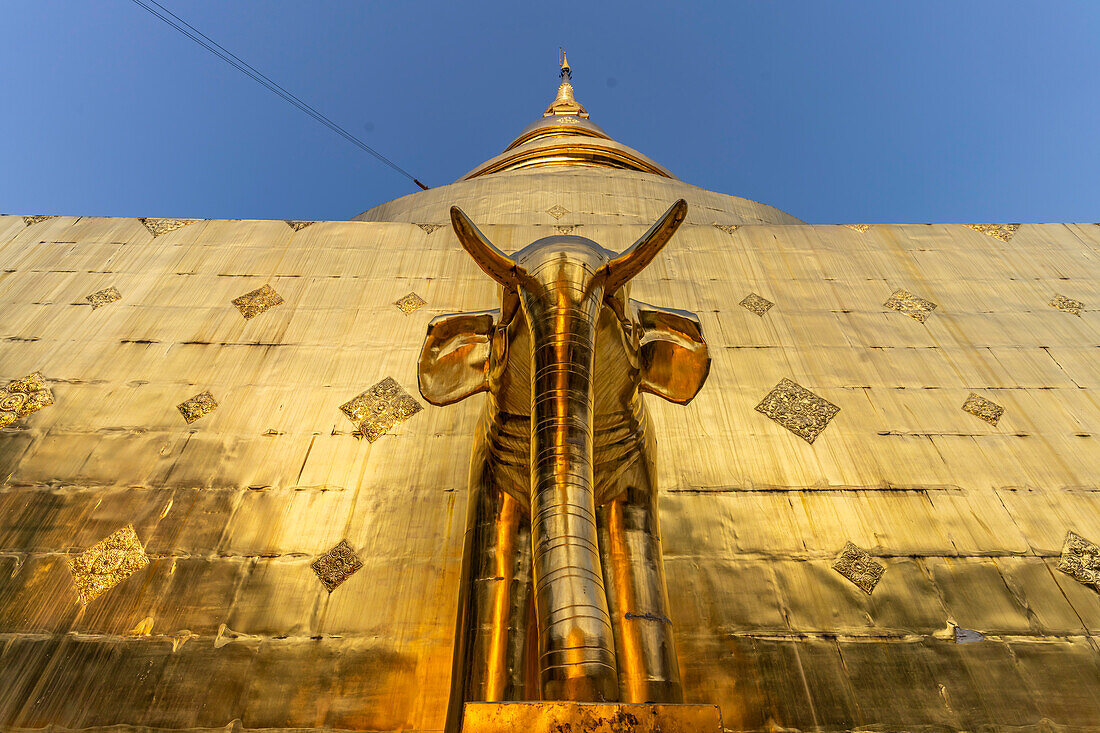 Elephant at the foot of the Golden Chedi Phrathatluang in Wat Phra Singh Temple, Chiang Mai, Thailand, Asia