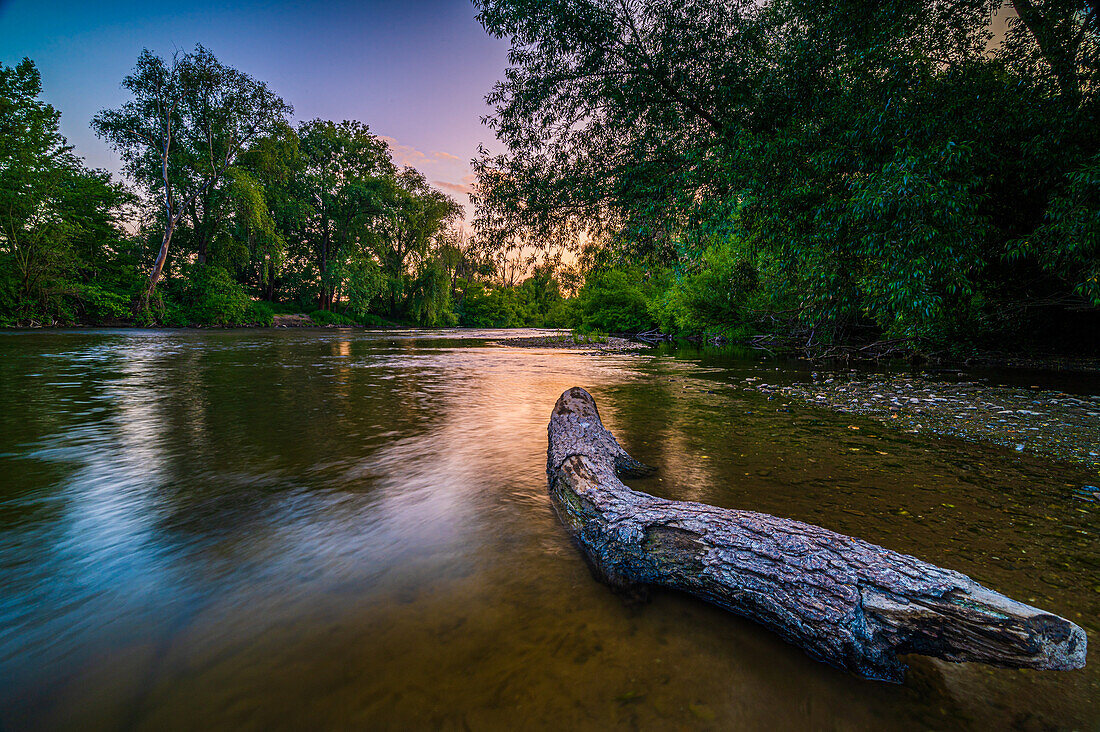 Langzeitbelichtung vom Fluss Saale, einem alten Baumstamm im Wasser und dem steinigen Ufer im Sommer bei Sonnenuntergang, Jena, Thüringen, Deutschland