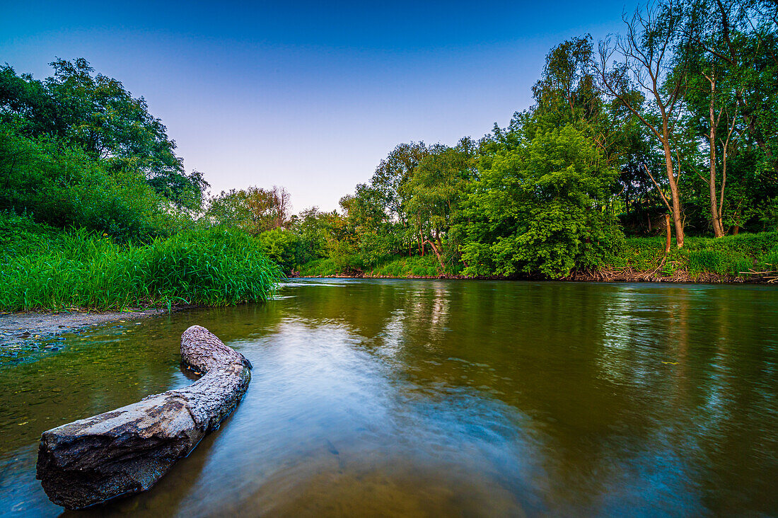 Langzeitbelichtung vom Fluss Saale und einem alten Baumstamm im Wasser im Sommer, Jena, Thüringen, Deutschland