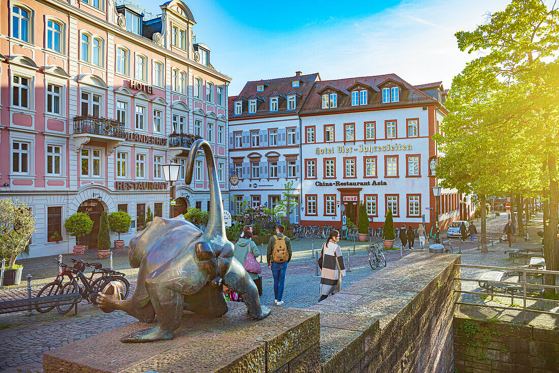 Neckarstaden in Heidelberg, Baden-Wuerttemberg, Germany