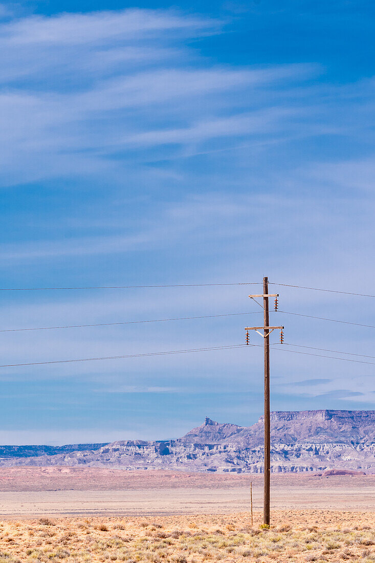 Utility poles in the Arizona desert.