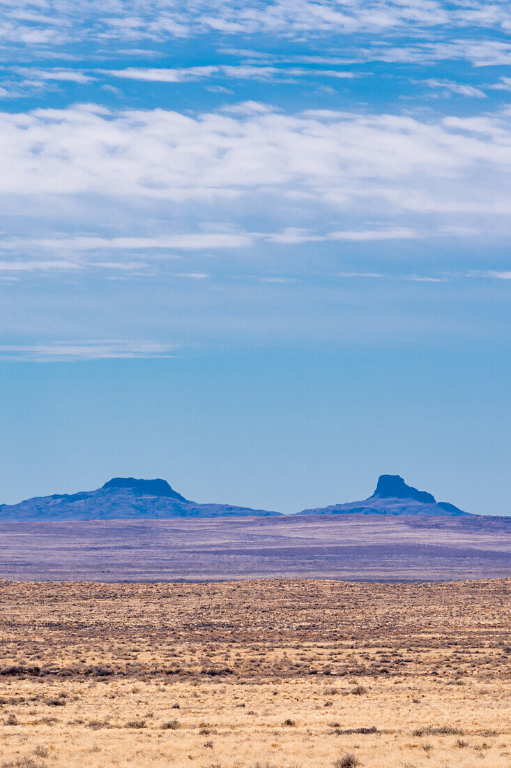 Wüstenlandschaft in Arizona, USA.