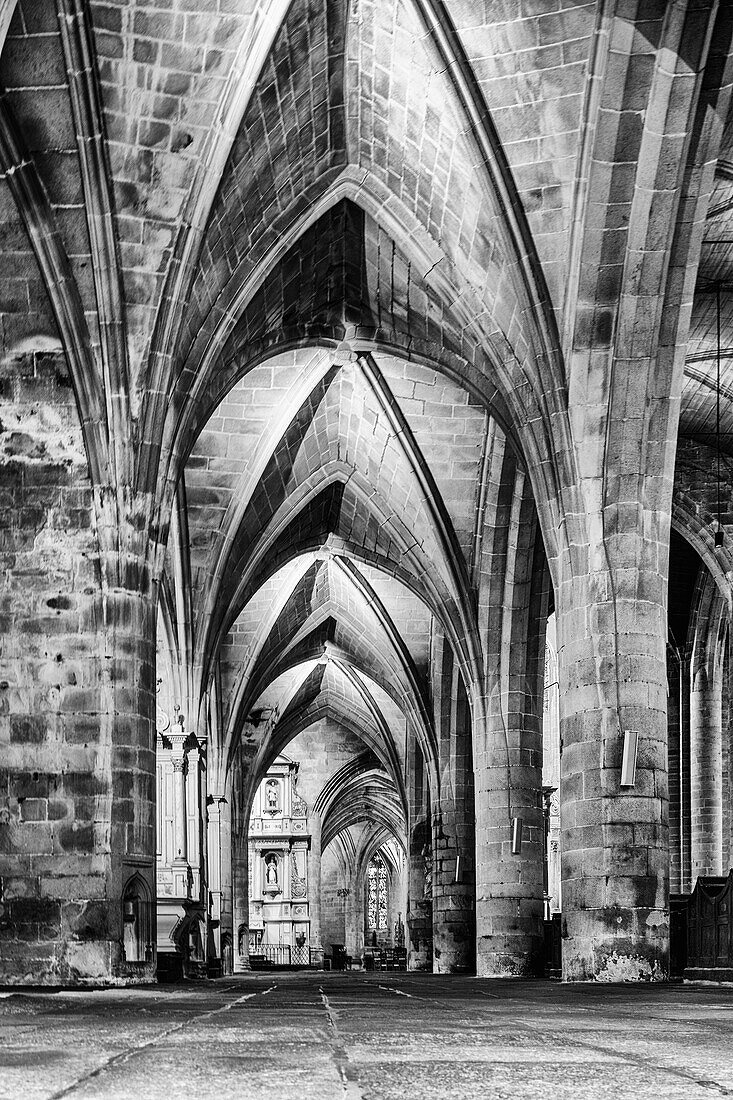 France, Brittany, Dinan, Basilique Saint-Sauveur, black and white, church