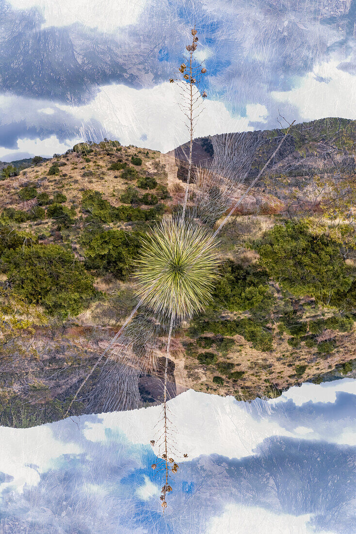 Doppelbelichtung einer Wüstenlandschaft in New Mexico.