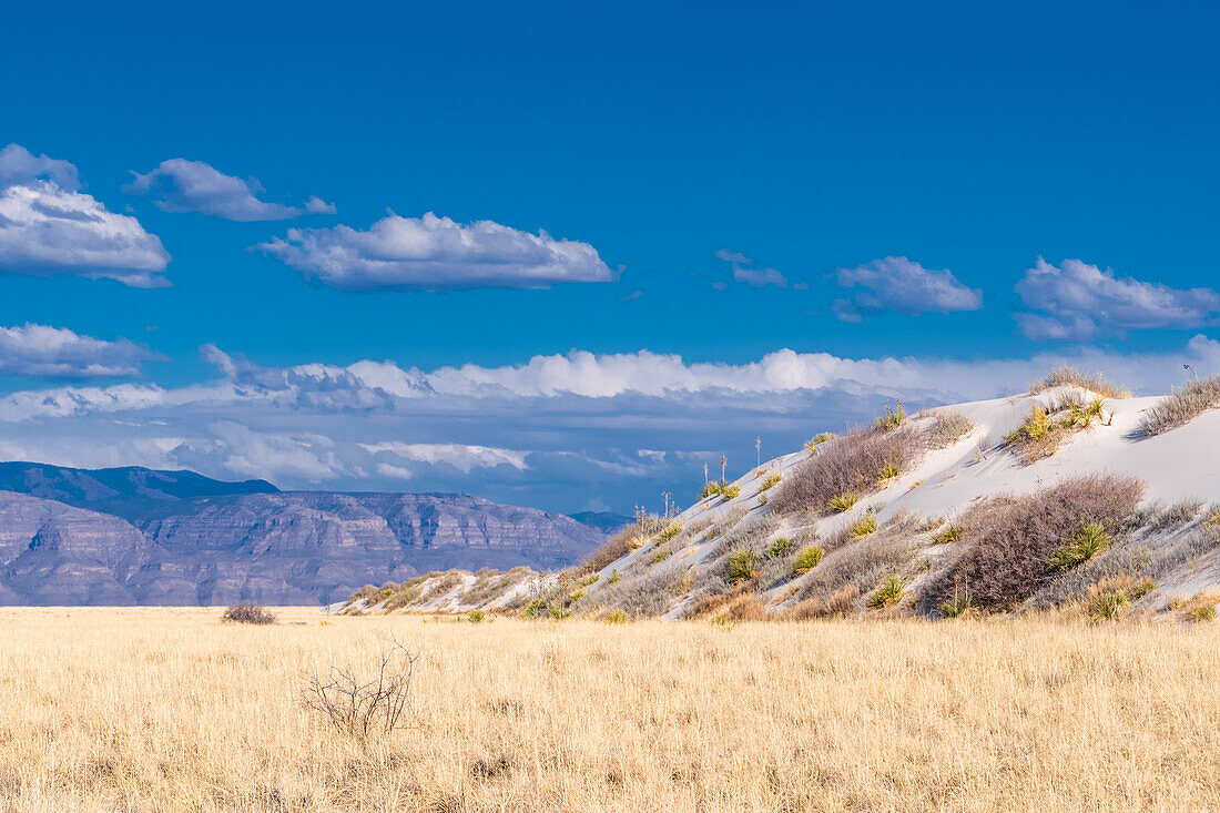 Gypsum dunes landscape of White Sands National Monument in New Mexico.