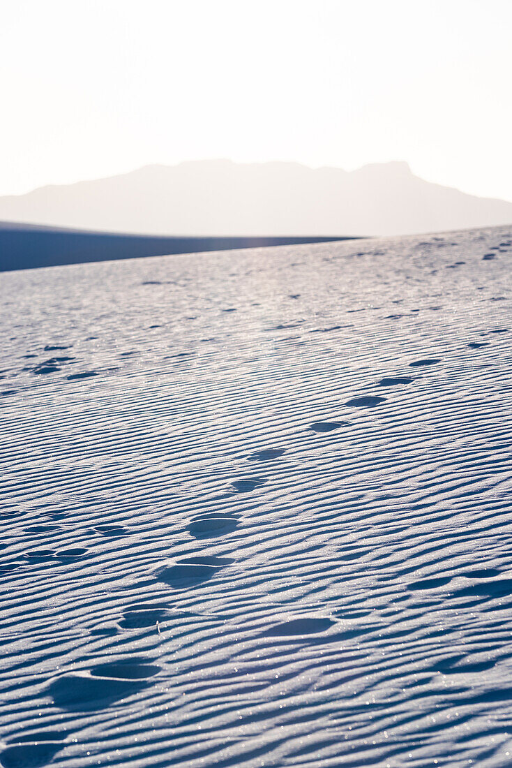 Gipsdünenlandschaft des White Sands National Monument in New Mexico, Spuren im Sand
