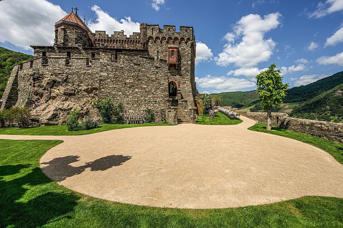 Burg Reichenstein vom Burggarten aus gesehen, Trechtingshausen, Oberes Mittelrheintal, Rheinland-Pfalz, Deutschland