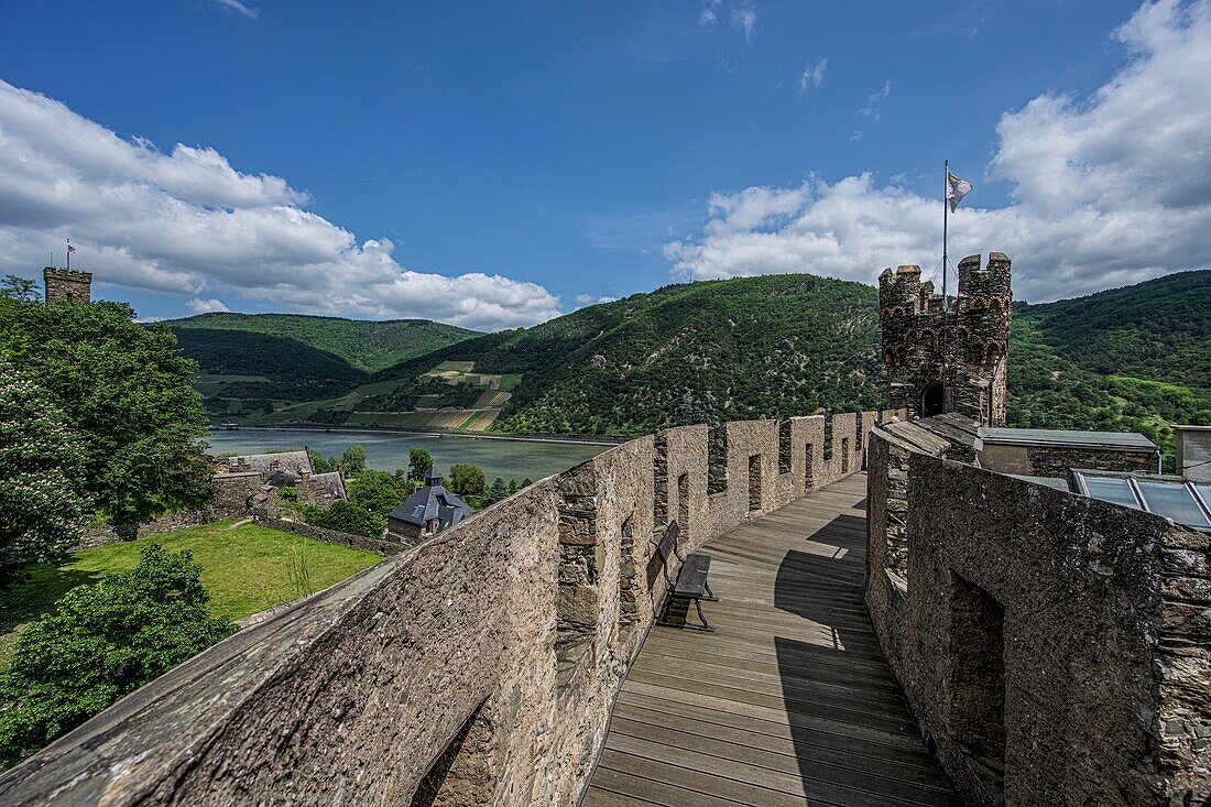 Burg Reichenstein, Blick über die Burgmauer zum Rheinturm und in das Rheintal bei Trechtingshausen, Oberes Mittelrheintal, Rheinland-Pfalz, Deutschland