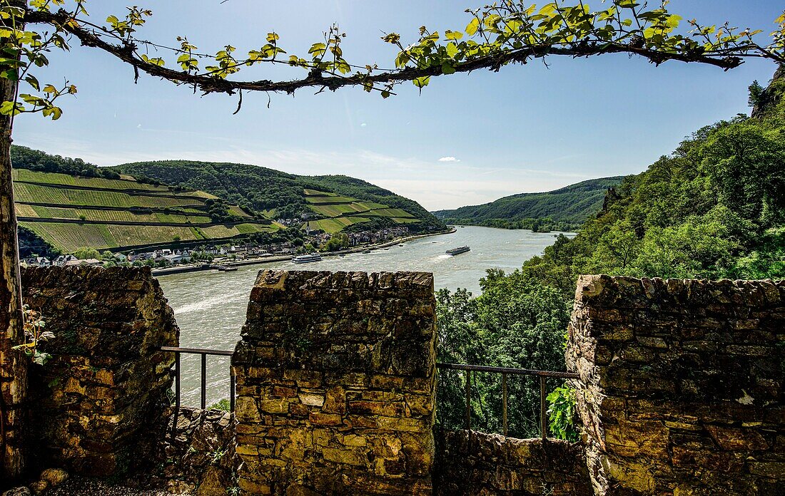 Blick vom Burgundergarten auf den Rhein bei Assmannshausen, Burg Rheinstein, Oberes Mittelrheintal, Rheinland-Pfalz, Deutschland
