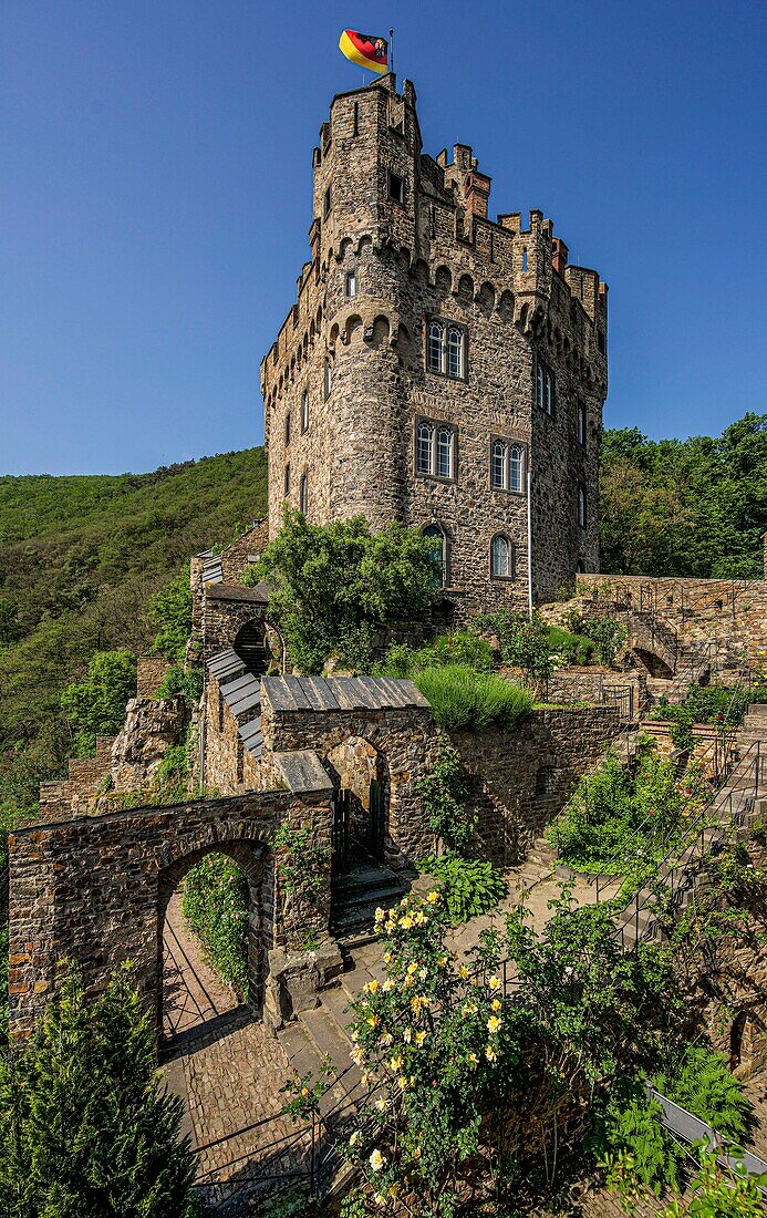 Sooneck Castle, panorama of the outer bailey and main bailey, Niederheimbach, Upper Middle Rhine Valley, Rhineland-Palatinate, Germany