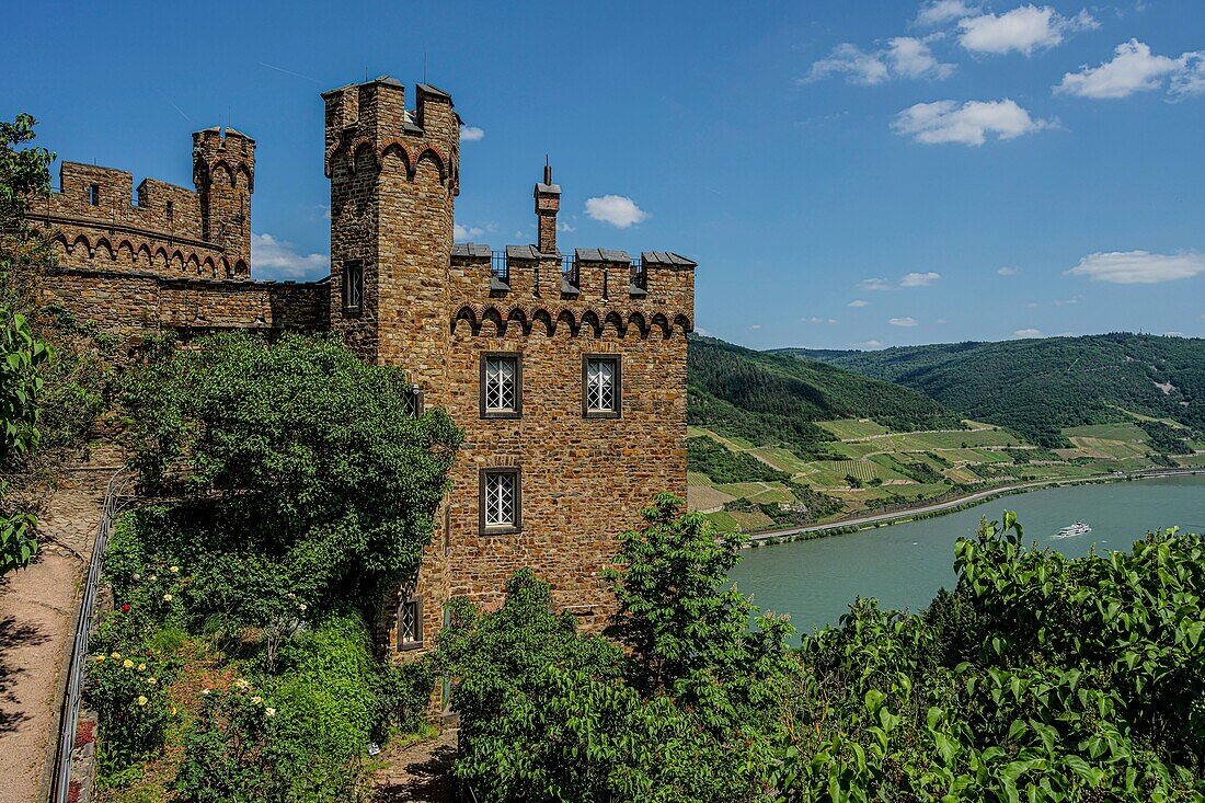 Burg Sooneck, Blick auf die Vorburg und den Rhein, Niederheimbach, Oberes Mittelrheintal, Rheinland-Pfalz, Deutschland