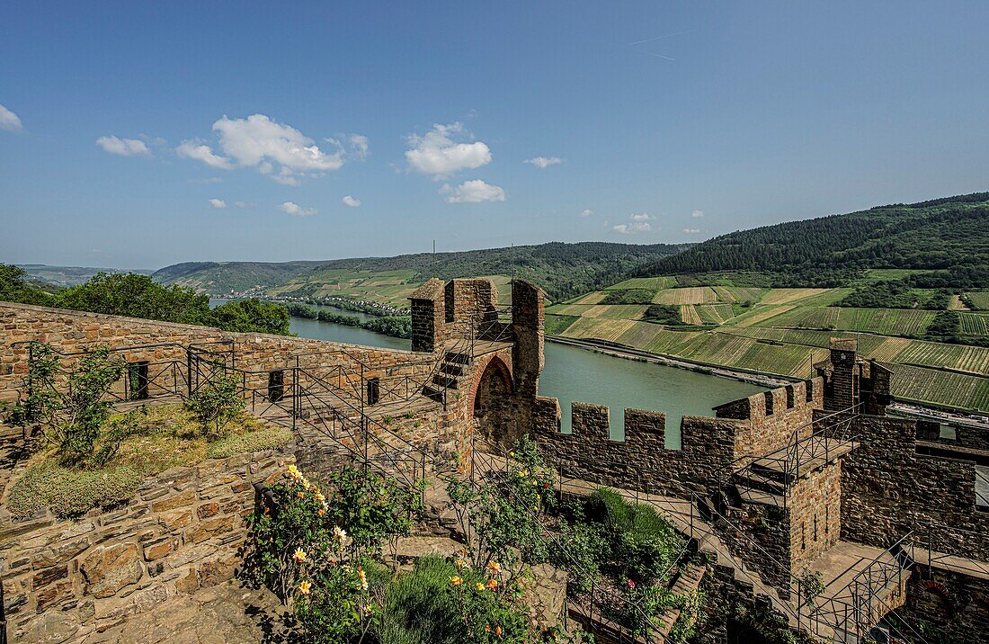 Sooneck Castle, view over the battlements of the shield wall into the Rhine Valley near Lorch, Upper Middle Rhine Valley, Rhineland-Palatinate, Germany