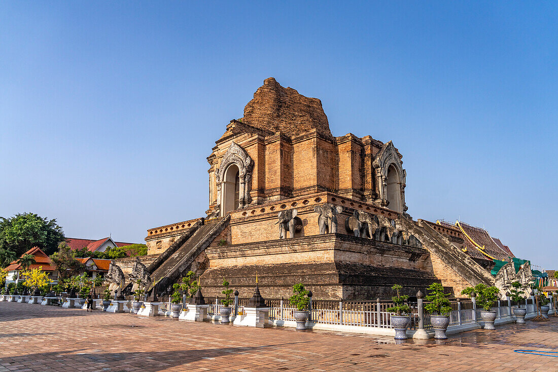 Der große Stupa des Wat Chedi Luang, Chiang Mai, Thailand, Asien  