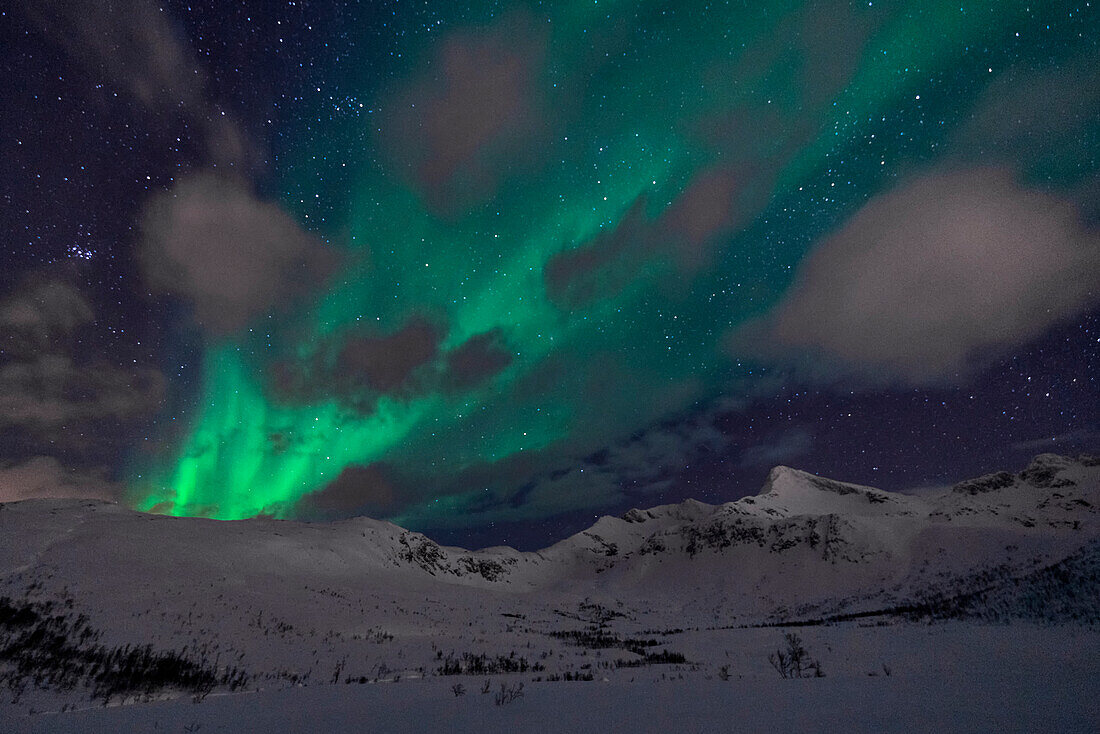 Polarlichter über den Bergen bei Tromsø, Norwegen.