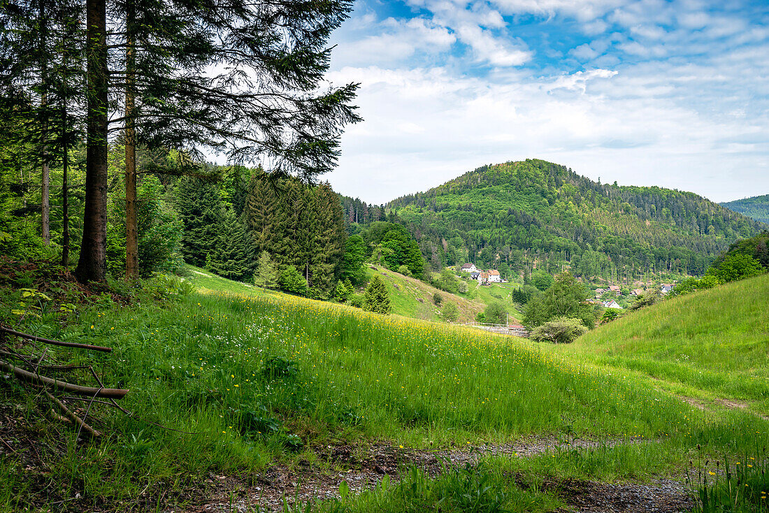 View of the Gaistal, Black Forest, Bad Herrenalb, Baden-Württemberg, Germany