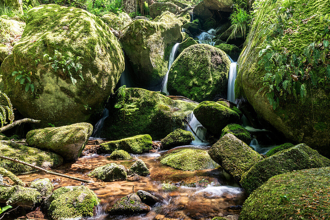 Gertelbach-Wasserfälle im Wald, Bühlertal, Schwarzwald, Baden-Württemberg, Deutschland