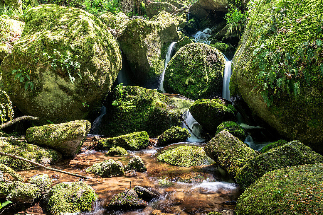 Gertelbach waterfalls in the forest, Bühlertal, Black Forest, Baden-Württemberg, Germany