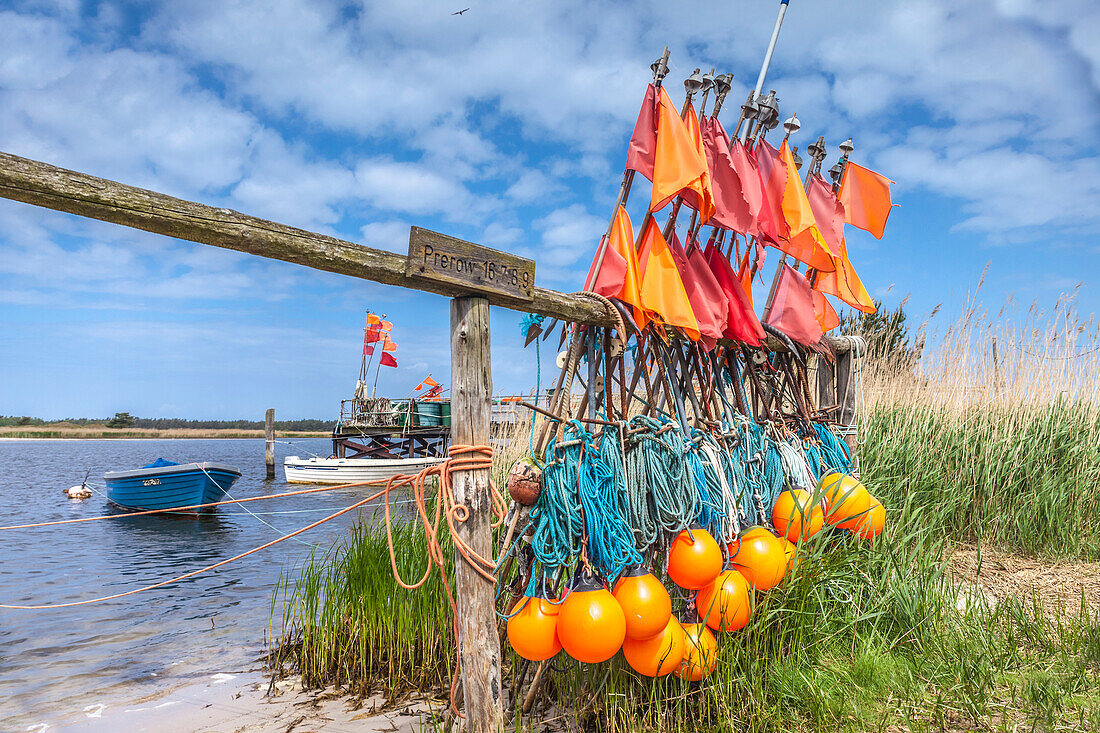 Fishing boats in the port of Darsser Ort near Prerow, Mecklenburg-Western Pomerania, Baltic Sea, North Germany, Germany