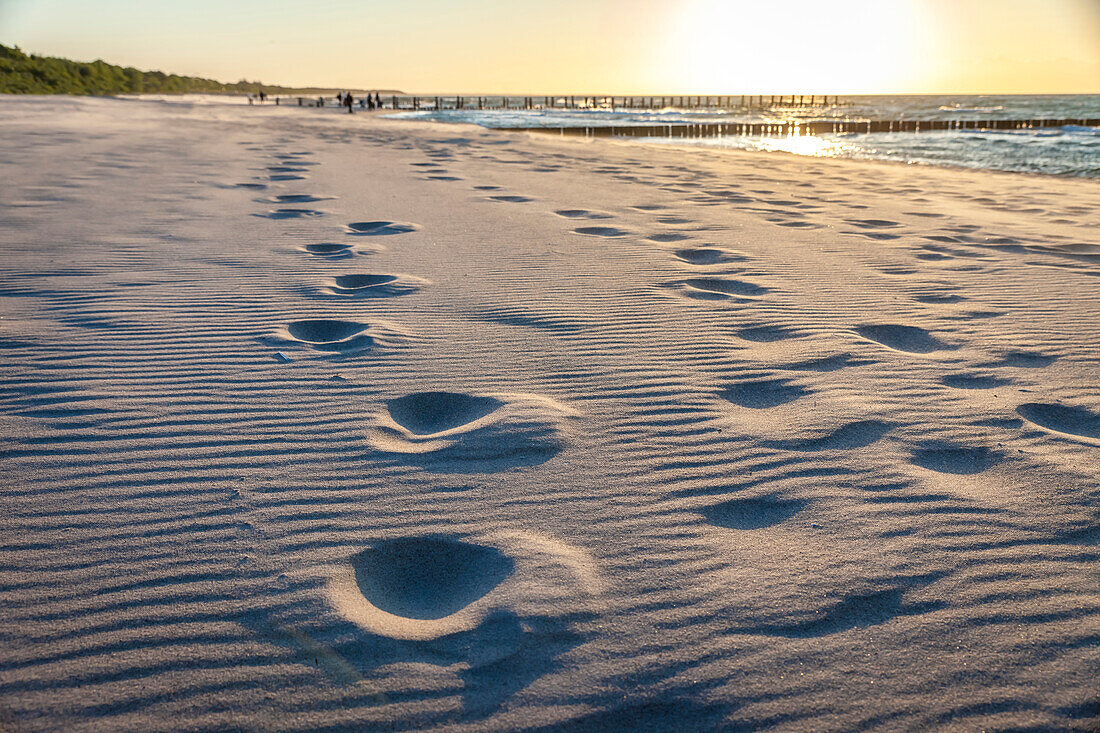 Spuren im Sand von Zingst zum Sonnenuntergang, Mecklenburg-Vorpommern, Ostsee, Norddeutschland, Deutschland