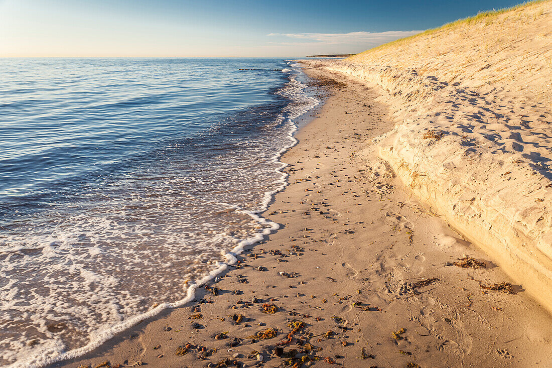 Sand dunes at Darss West Beach, Mecklenburg-Western Pomerania, Baltic Sea, North Germany, Germany