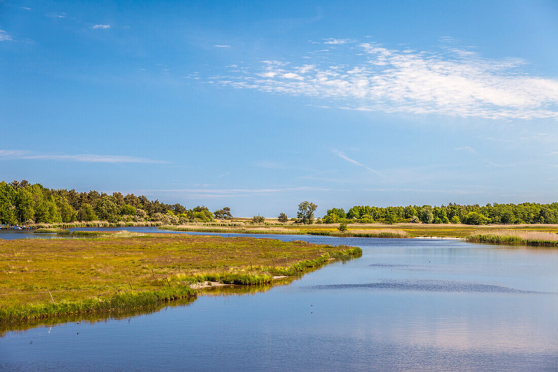 Bodden near Prerow, Mecklenburg-West Pomerania, Baltic Sea, North Germany, Germany