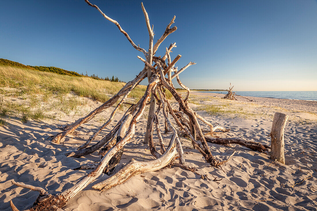 Driftwood tent on Darss West Beach, Mecklenburg-Western Pomerania, Baltic Sea, North Germany, Germany